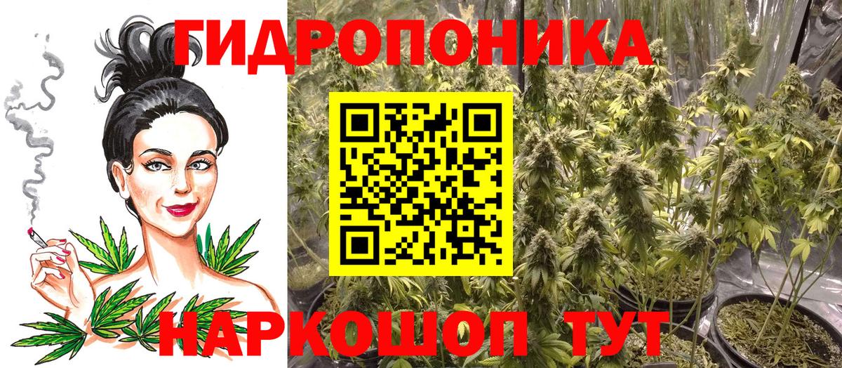 Бошки марихуана марихуана  МАРИХУАНА MAZAR  МАРИХУАНА VHQ  Ухта  Вход с VPN 